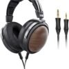 FiiO FT1 Large Dynamic Driver Headphones Review Premium Sound with Solid Wood Design