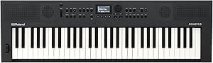 61MGQaflEKL.__AC_SX300_SY300_QL70_ML2_ Roland GO:KEYS 5 review innovative portable keyboard with Bluetooth and built-in speakers