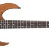 Ibanez RG421 Electric Guitar review Mahogany Oil solid body with stunning sound