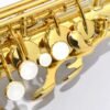 61Vop2RitL._AC_SL1000_ Yamaha YAS-480 Intermediate Eb Alto Saxophone review Gold Finish and Features