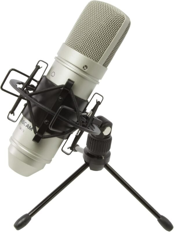 Tascam TM-80 Condenser Microphone review exploring sound quality and performance for home studios