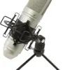 Tascam TM-80 Condenser Microphone review exploring sound quality and performance for home studios