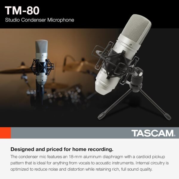 Tascam TM-80 Condenser Microphone review exploring sound quality and performance for home studios