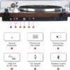 71VwVt7EHL._AC_SL1500_ Turntables Belt-Drive Record Player Retrolife HQ-KZ006 review with wireless connectivity features