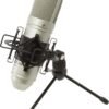 Tascam TM-80 Condenser Microphone review exploring sound quality and performance for home studios