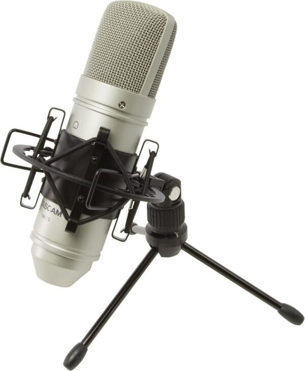 Tascam TM-80 Condenser Microphone review exploring sound quality and performance for home studios