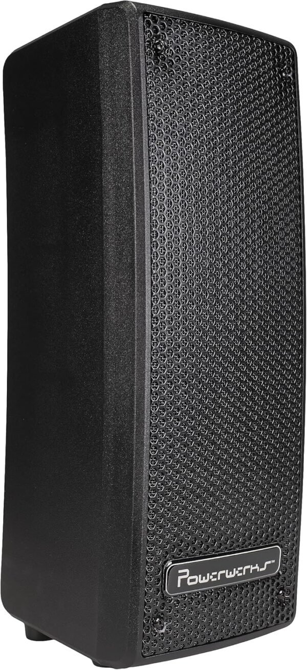 Portable PA System Review Hanser MG PW50 for Live Events and Music Performances
